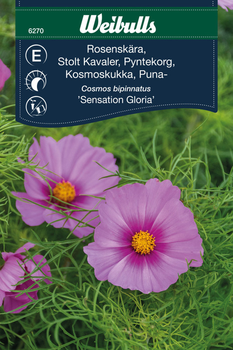 Frö Rosenskära 'Sensation Gloria' Weibulls